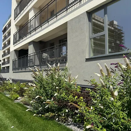 Sweet Memories Premium Coresi * ブラショフ