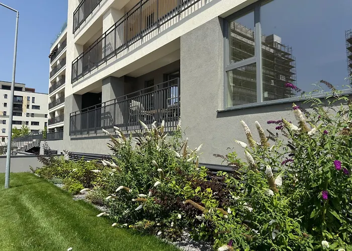 Sweet Memories Premium Coresi * ブラショフ